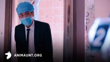 Судмедэксперт Цинь Мин: Безмолвная улика, Medical Examiner Dr. Qin: Silent Evidence