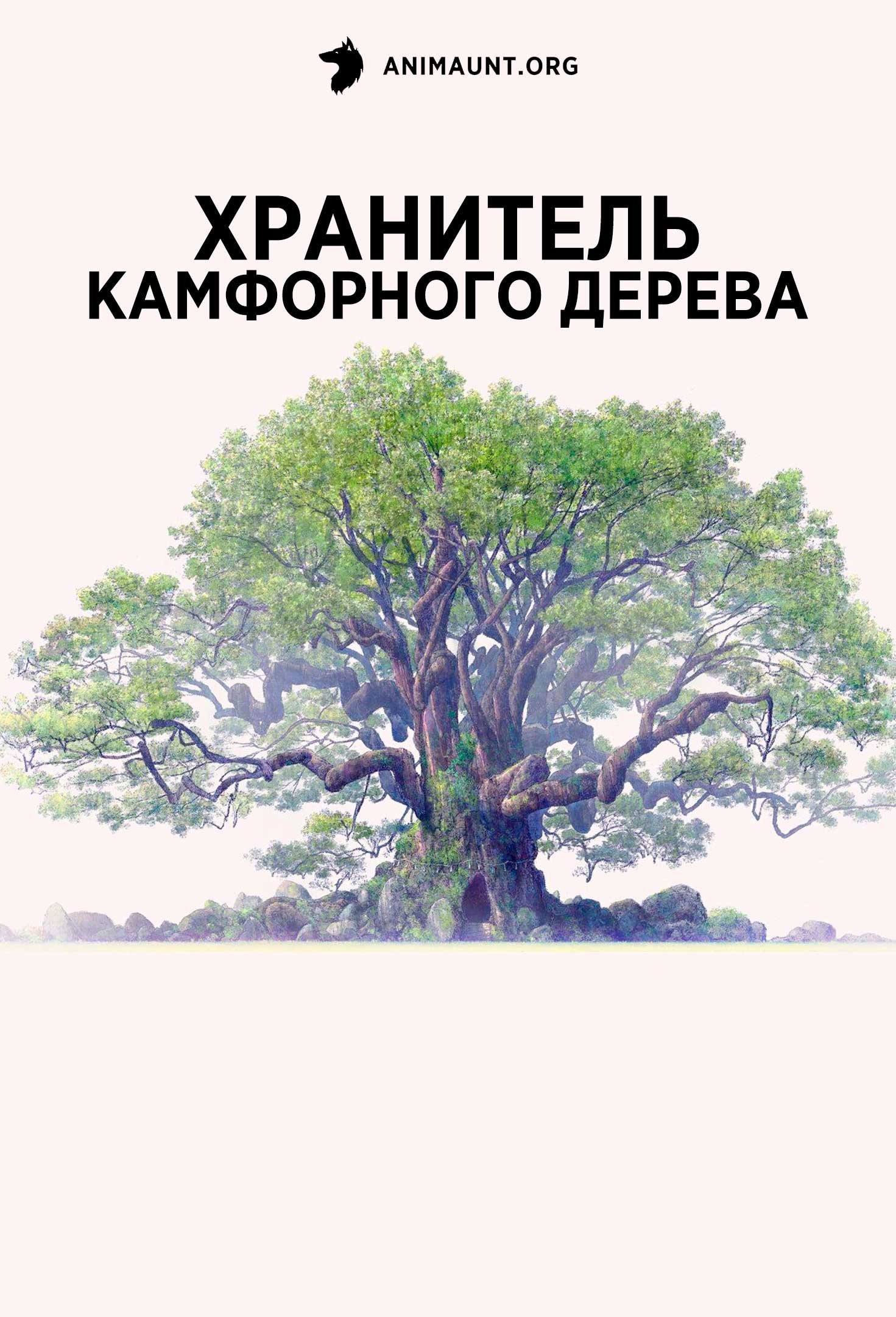 Хранитель камфорного дерева