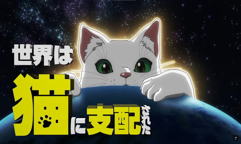 Дата премьеры и подробности аниме «Nyaight of the Living Cat»