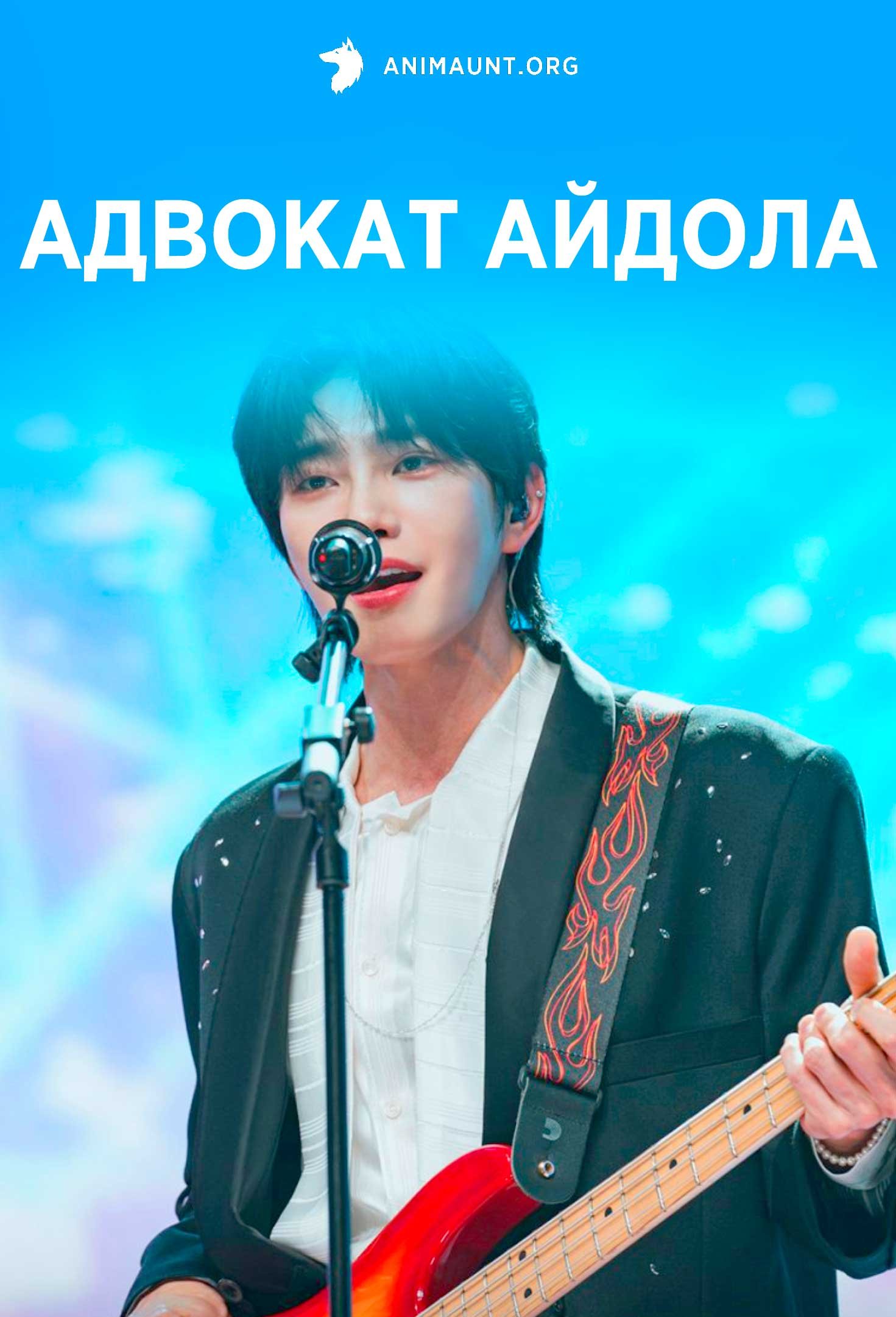 Адвокат айдола