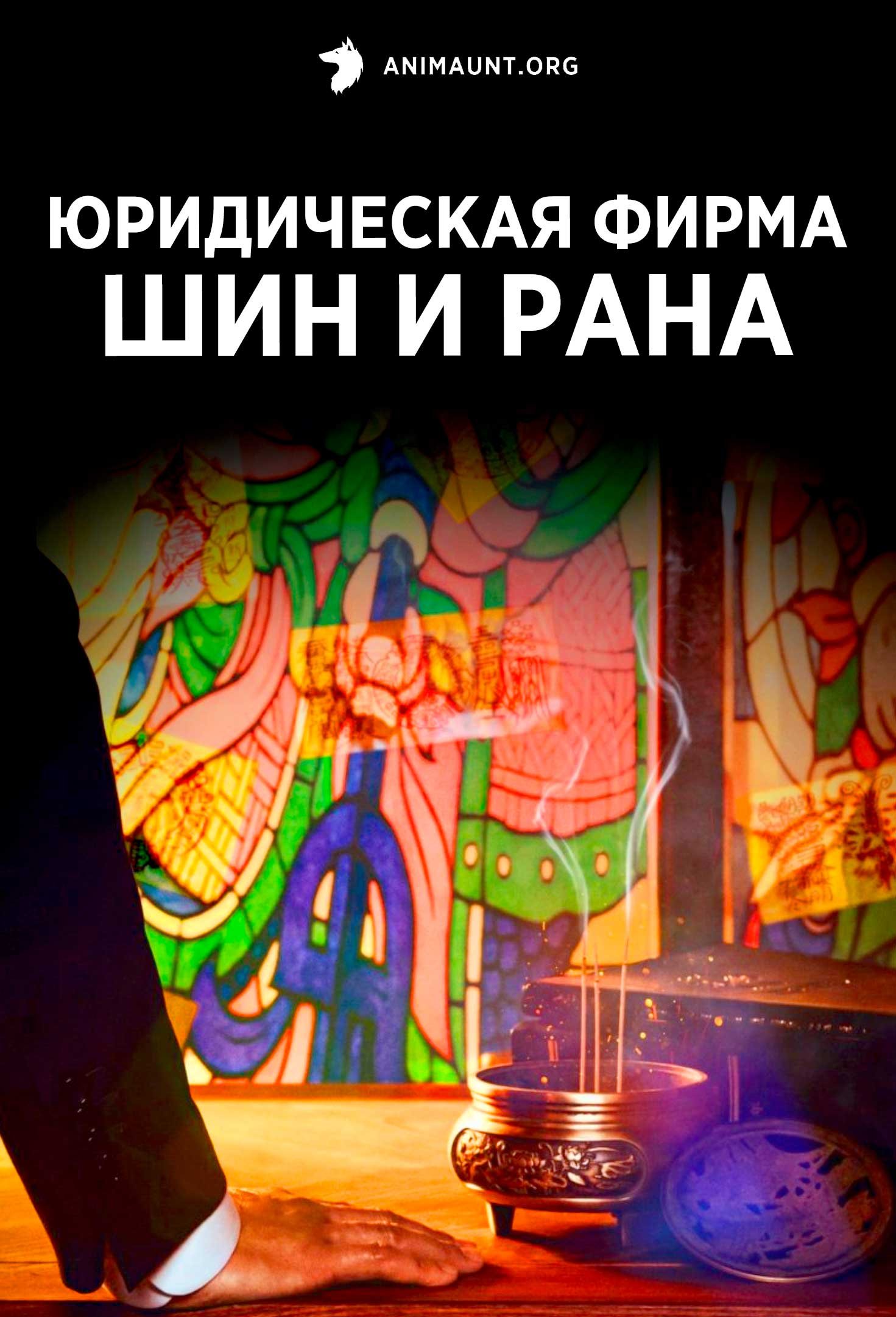 Юридическая фирма Шин И Рана